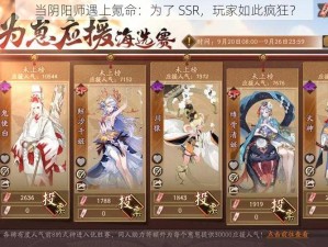 当阴阳师遇上氪命：为了 SSR，玩家如此疯狂？