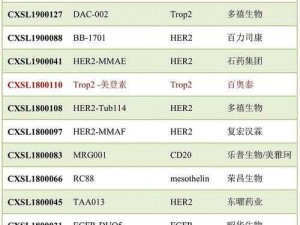 adc 在线年龄确认，快速验证，安全可靠