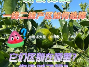 中文字幕一线产区和二线区的区别，一线产品质量更优