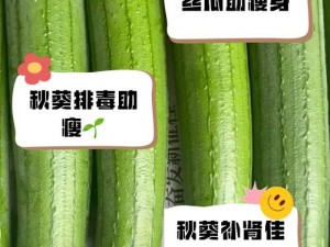 为什么找不到丝瓜秋葵草莓绿巨人大全？如何找到丝瓜秋葵草莓绿巨人大全？怎样获取丝瓜秋葵草莓绿巨人大全？