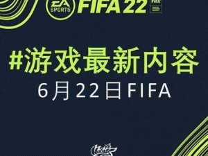 FIFA 14激活失败及已兑换用户遭遇的困扰探究