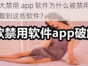 夜里十大禁用 app 软件为什么被禁用？如何避免下载到这些软件？