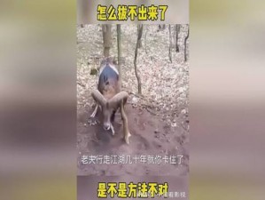 老师下面太紧拔不出来怎么办—老师下面太紧拔不出来怎么办：如何应对尴尬局面