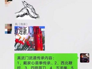 实战揭秘：武林英雄传武道大会巅峰对决与技巧解读