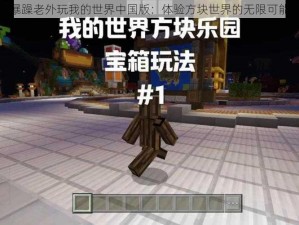 暴躁老外玩我的世界中国版：体验方块世界的无限可能