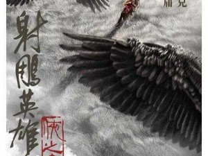 《射雕英雄传 3D：陆冠英——一位武艺高强的江湖侠客》