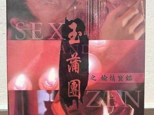 玉蒲,玉蒲团之偷情宝鉴