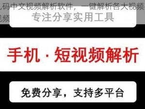 高清乱码中文视频解析软件，一键解析各大视频平台的高清视频