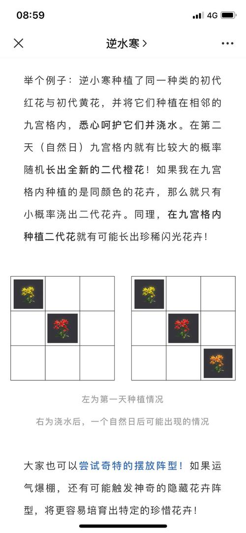 逆水寒碧玉瓜全攻略:碧玉瓜玩法深度解析