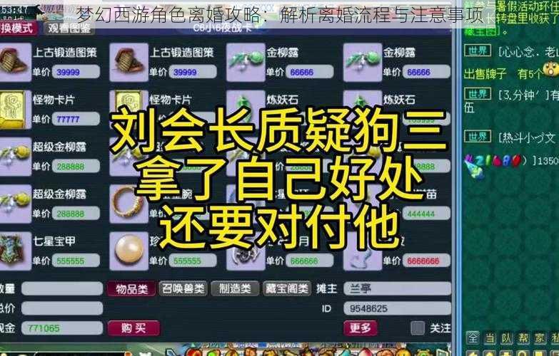 梦幻西游角色离婚攻略：解析离婚流程与注意事项