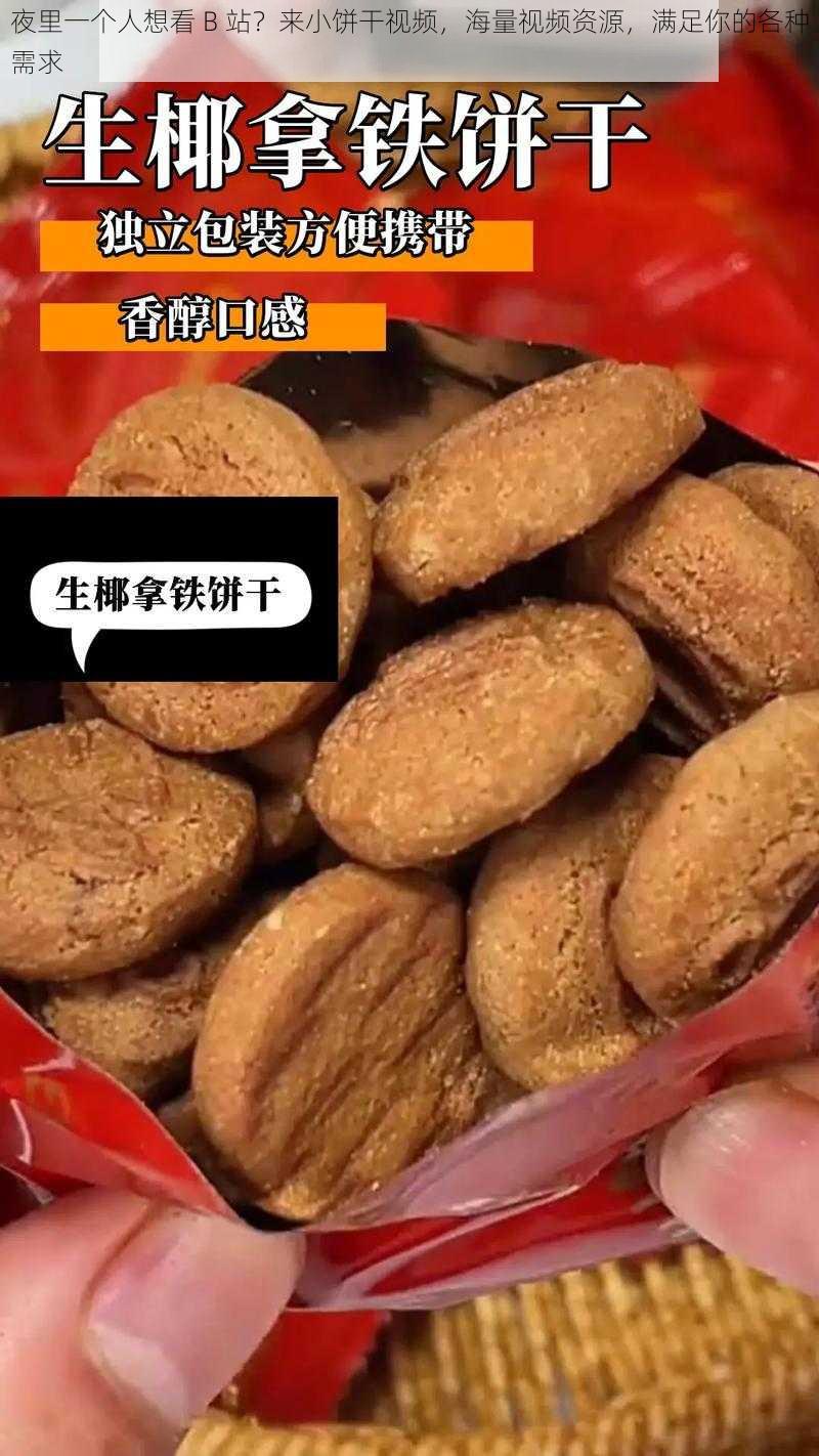 夜里一个人想看 B 站？来小饼干视频，海量视频资源，满足你的各种需求