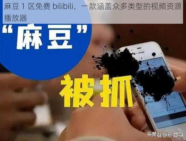 麻豆 1 区免费 bilibili，一款涵盖众多类型的视频资源播放器