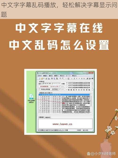 中文字字幕乱码播放，轻松解决字幕显示问题