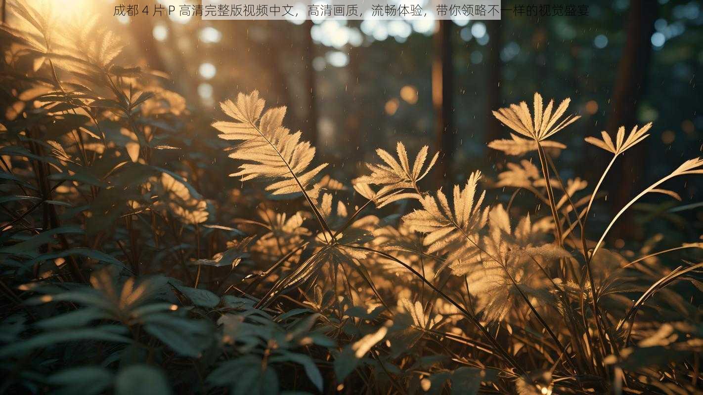 成都 4 片 P 高清完整版视频中文，高清画质，流畅体验，带你领略不一样的视觉盛宴