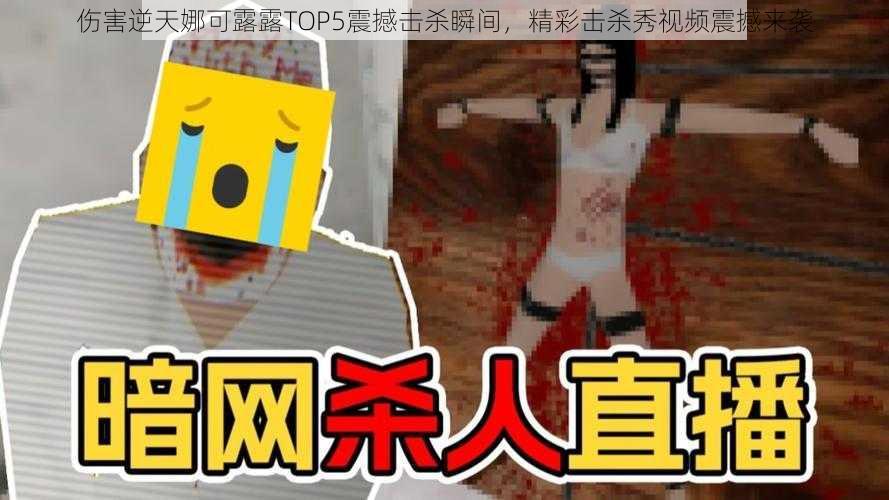 伤害逆天娜可露露TOP5震撼击杀瞬间，精彩击杀秀视频震撼来袭