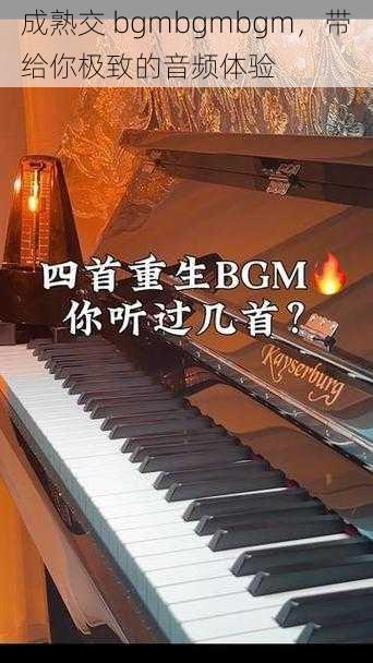 成熟交 bgmbgmbgm，带给你极致的音频体验