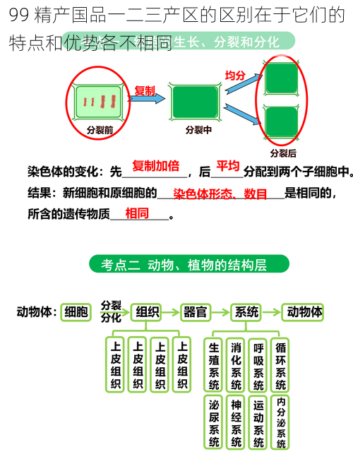 99 精产国品一二三产区的区别在于它们的特点和优势各不相同