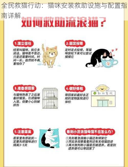 全民救猫行动：猫咪安装救助设施与配置指南详解