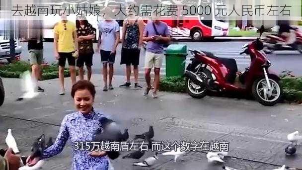 去越南玩小姑娘，大约需花费 5000 元人民币左右