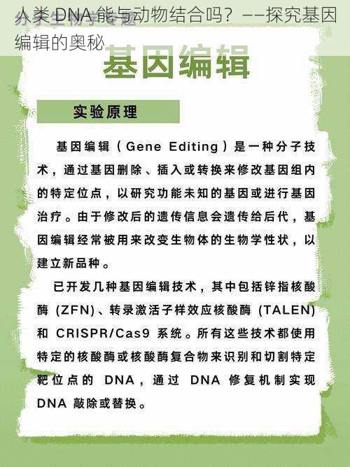 人类 DNA 能与动物结合吗？——探究基因编辑的奥秘