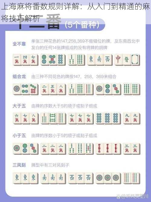 上海麻将番数规则详解：从入门到精通的麻将技巧解析