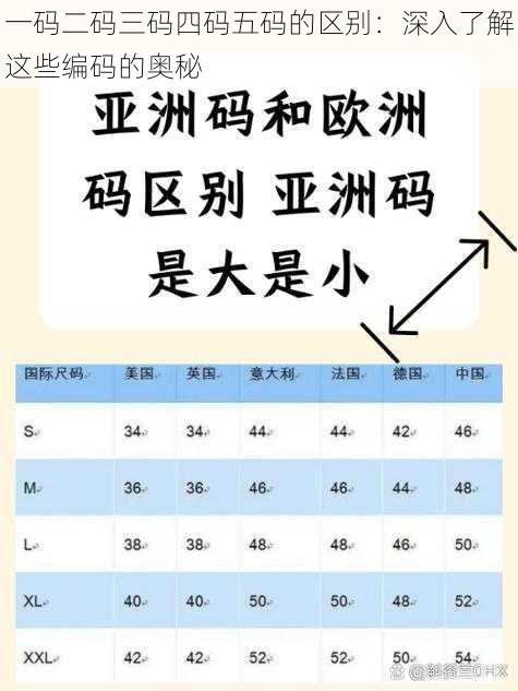 一码二码三码四码五码的区别：深入了解这些编码的奥秘