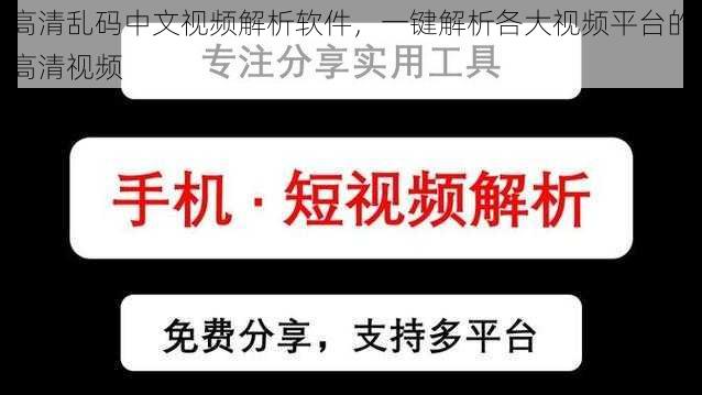 高清乱码中文视频解析软件，一键解析各大视频平台的高清视频