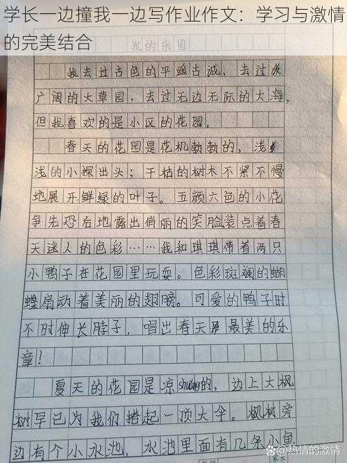 学长一边撞我一边写作业作文：学习与激情的完美结合