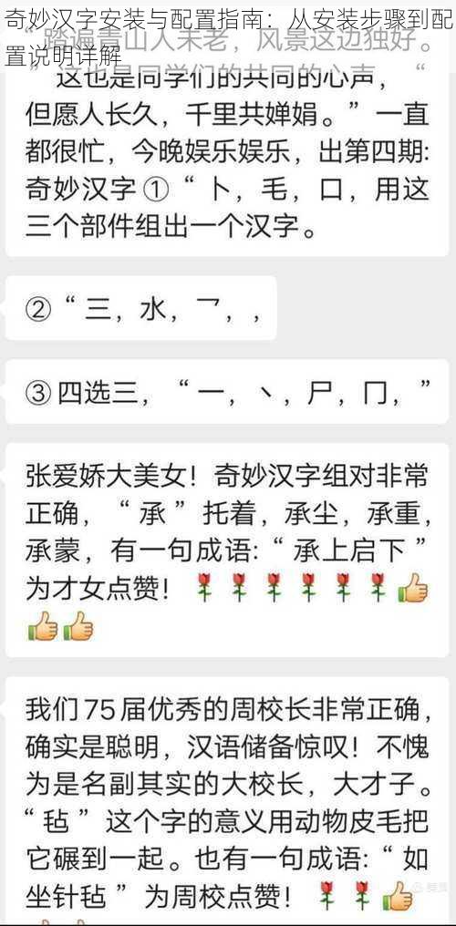 奇妙汉字安装与配置指南：从安装步骤到配置说明详解