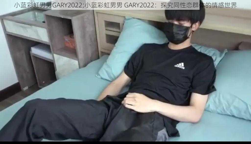 小蓝彩虹男男GARY2022;小蓝彩虹男男 GARY2022：探究同性恋群体的情感世界