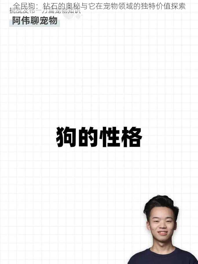 全民狗：钻石的奥秘与它在宠物领域的独特价值探索