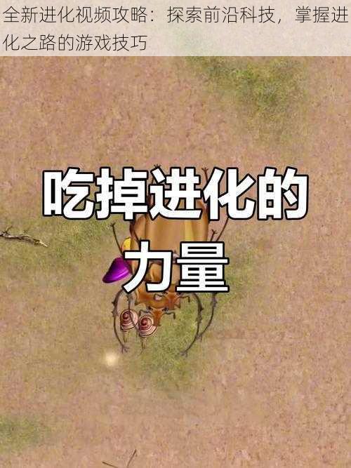 全新进化视频攻略：探索前沿科技，掌握进化之路的游戏技巧