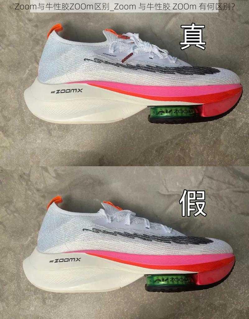 Zoom与牛性胶ZOOm区别_Zoom 与牛性胶 ZOOm 有何区别？