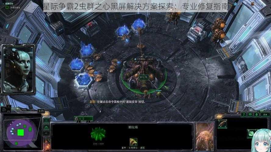 星际争霸2虫群之心黑屏解决方案探索：专业修复指南