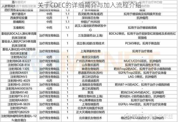 关于CDEC的详细简介与加入流程介绍