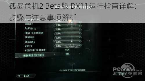 孤岛危机2 Beta版 DX11运行指南详解：步骤与注意事项解析