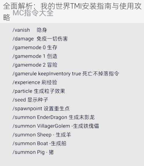 全面解析：我的世界TMI安装指南与使用攻略