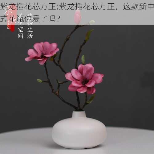 紫龙插花芯方正;紫龙插花芯方正，这款新中式花瓶你爱了吗？