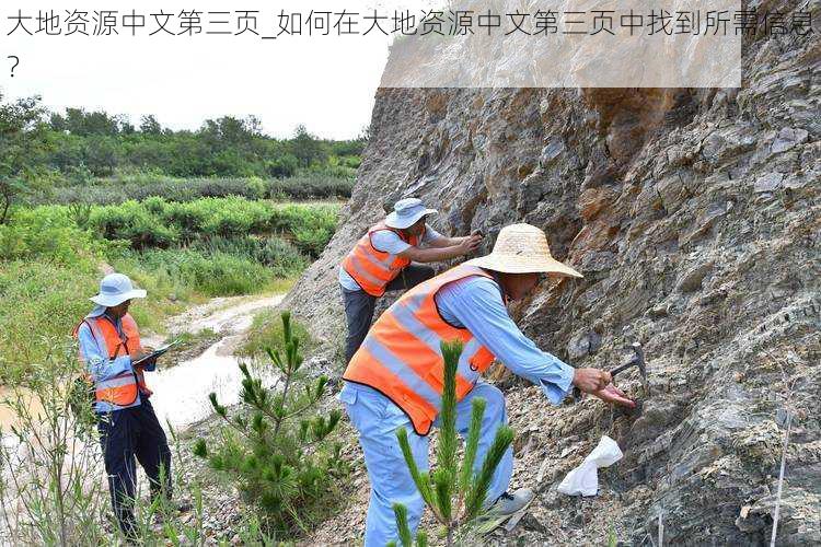 大地资源中文第三页_如何在大地资源中文第三页中找到所需信息？