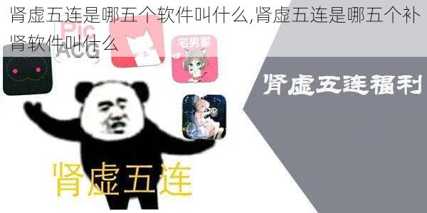 肾虚五连是哪五个软件叫什么,肾虚五连是哪五个补肾软件叫什么