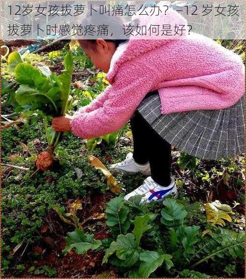 12岁女孩拔萝卜叫痛怎么办？—12 岁女孩拔萝卜时感觉疼痛，该如何是好？