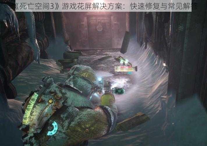 《死亡空间3》游戏花屏解决方案：快速修复与常见解答