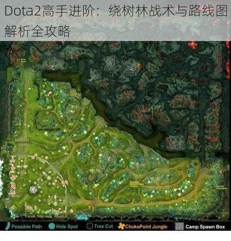 Dota2高手进阶：绕树林战术与路线图解析全攻略