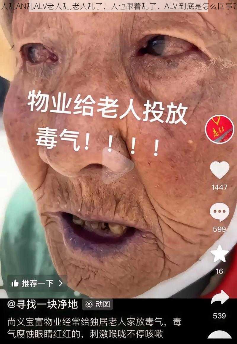 人乱AN乱ALV老人乱,老人乱了，人也跟着乱了，ALV 到底是怎么回事？