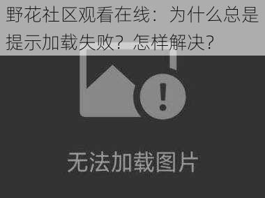 野花社区观看在线：为什么总是提示加载失败？怎样解决？