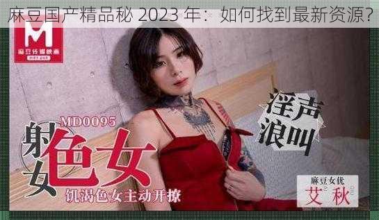 麻豆国产精品秘 2023 年：如何找到最新资源？