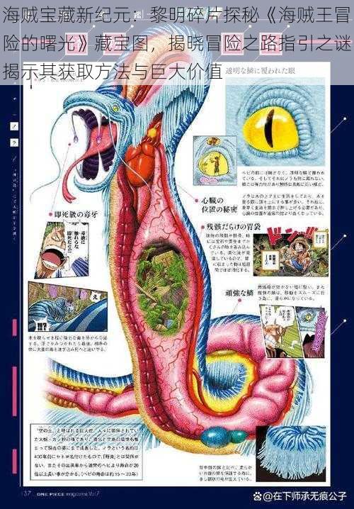 海贼宝藏新纪元：黎明碎片探秘《海贼王冒险的曙光》藏宝图，揭晓冒险之路指引之谜揭示其获取方法与巨大价值