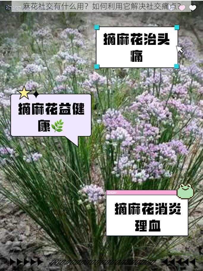 麻花社交有什么用？如何利用它解决社交痛点？