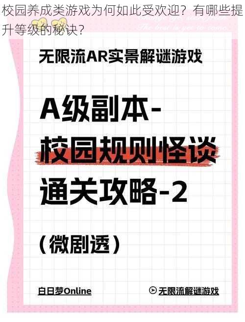 校园养成类游戏为何如此受欢迎？有哪些提升等级的秘诀？