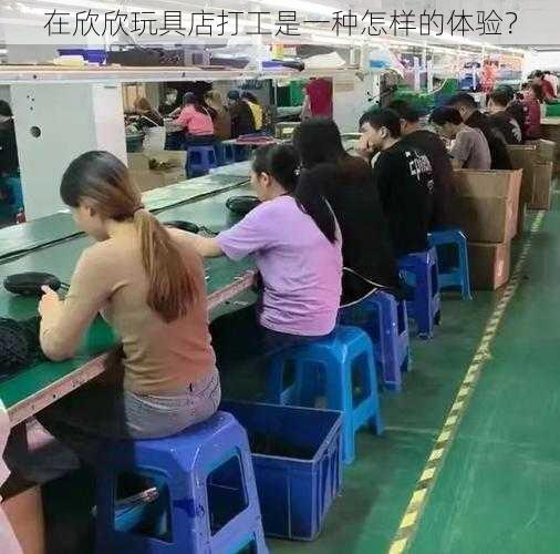 在欣欣玩具店打工是一种怎样的体验？